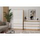 10. MALWA SS-90 ARTISAN WARDROBE / WHITE SET
