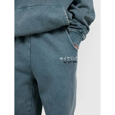 4. Boys' jogger sweatpants 4F 4FJRAW25TTROM1528-46S