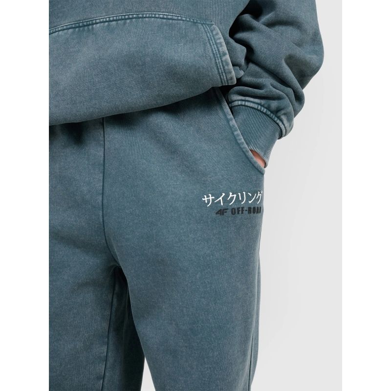 4. Boys' jogger sweatpants 4F 4FJRAW25TTROM1528-46S