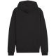 6. Puma Team Goal Casuals Hooded M 658595 03 sweatshirt