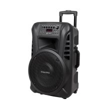 Active loudspeaker (with 2 wireless UHF microphones, SD, Bluetooth, FM, USB) 40 Watt
