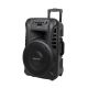 Active loudspeaker (with 2 wireless UHF microphones, SD, Bluetooth, FM, USB) 40 Watt