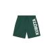 6. Kubota men's swimming shorts green K25SS-204-003-18-1