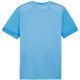 2. Puma teamGoal Matchday Jersey M 705747 18