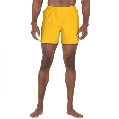 Nike Essential 5 M NESSF560 704 Swim Shorts