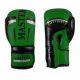 7. MASTERS RPU-FT 011123-0210 Boxing Gloves
