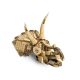 4. LEGO JURASSIC WORLD 76969 Dinosaur Skeletons: Triceratops Skull