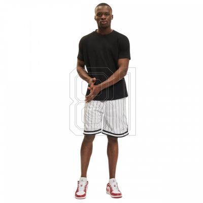 6. Karl Kani Small Signature Pinstripe Mesh Short M 6014921