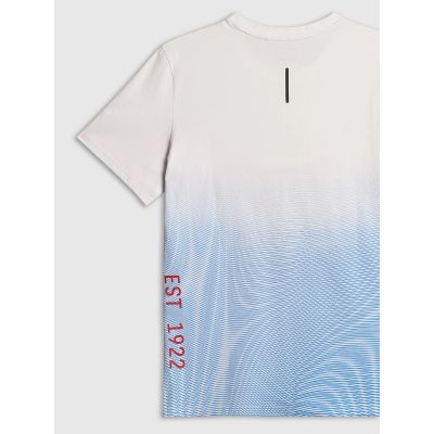 8. Men's regular printed T-shirt 4F 4FRSS26TTSHM4040-33A
