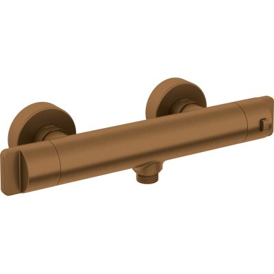 Thermostatic shower tap