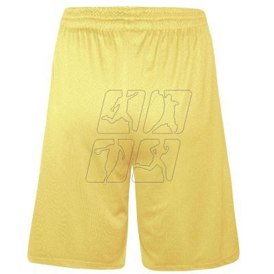 3. Colo Spring 04 Basketball Shorts