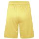 3. Colo Spring 04 Basketball Shorts