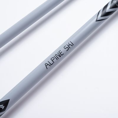 6. ALPINE SKI II poles