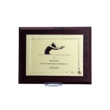 Plastic diploma with an engraved metal plate