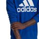 6. adidas Essentials Big Logo Sweatshirt M HE1840
