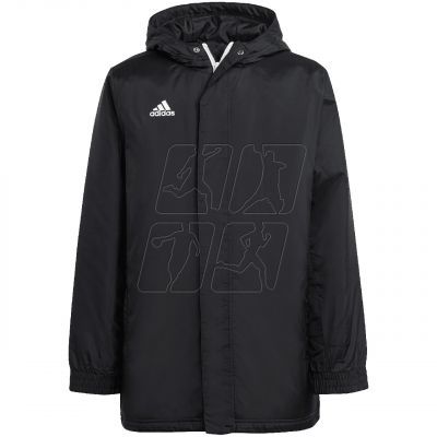 4. Jacket adidas Entrada 22 Stadium Jr IB6078