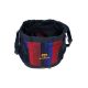8. FC Barcelona sports school backpack 612629197