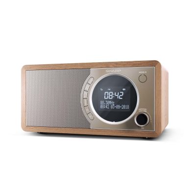 Sharp DR-450(BR) digital radio with Bluetooth technology