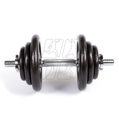 15. Profit 10kg DK 4126 cast iron dumbbell