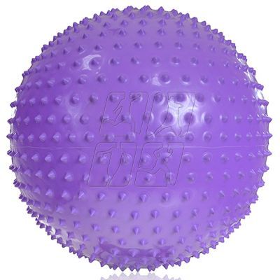 6. Gym ball with massage PROFIT 55cm purple DK 2104