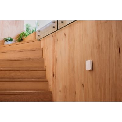10. NETATMO NCO-EC carbon monoxide sensor