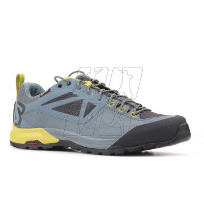 10. Salomon X Alp SPRY GTX M 401621 shoes