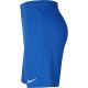 6. Nike Dry Park III NB M BV6855 463 shorts