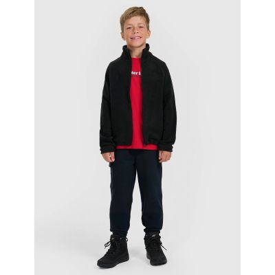 5. Regular fleece with stand-up collar for boys 4F 4FJRAW25TFLEM490-20S