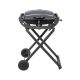 2. Teesa BBQ-1000 TSA0150 portable gas grill - foldable