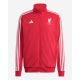 adidas Liverpool LFC DNA sweatshirt JW7892