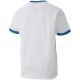 6. Puma teamGOAL 23 Jersey Jr 704160 12