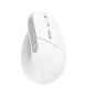 6. Trust BAYO II ERGONOMIC WIRELESS White mouse