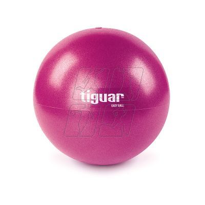 Tiguar easyball gym ball TI-PEB025