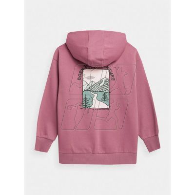 2. 4F Jr sweatshirt 4FJAW23TSWSF642-54S