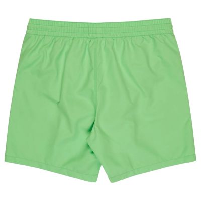 2. Billabong All Day Layback 16" Shorts EBYJV00134-GGJ0 Green L