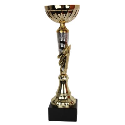 1991 Triumph Cup
