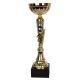 1991 Triumph Cup