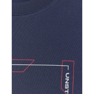 7. Men's longsleeve regular with print 4F 4FRAW25TLONM606-31S