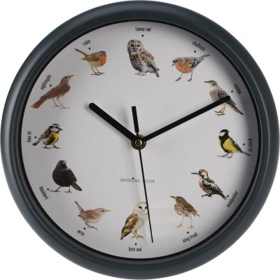 4. ORNITHOLOGIST WALL CLOCK 25CM