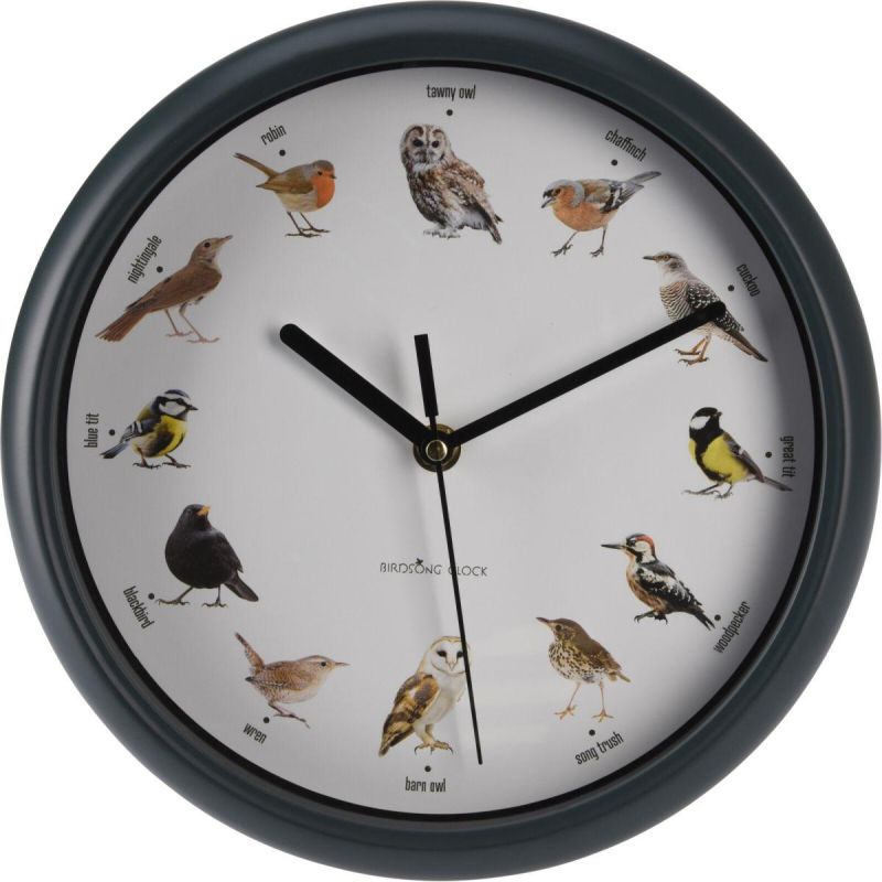 4. ORNITHOLOGIST WALL CLOCK 25CM