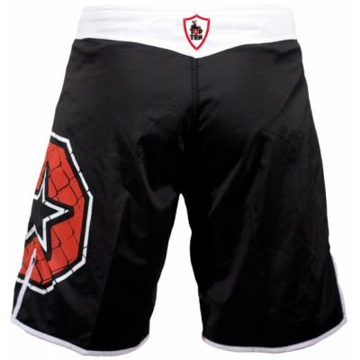3. TOP TEN MMA shorts