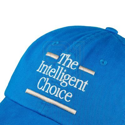 6. New Balance 6 Panel The Intelligent Choi Cap LAH43017BUL