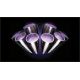 37. DYSON V11 Fluffy Nickel/Red Vacuum Cleaner