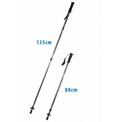 Classic silver trekking poles