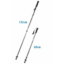 Classic silver trekking poles