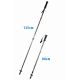 Classic silver trekking poles