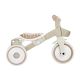 12. Tricycle/balance bike LEARNING TRIKE 2in1 PLUS ECOLOGIC (737-466)
