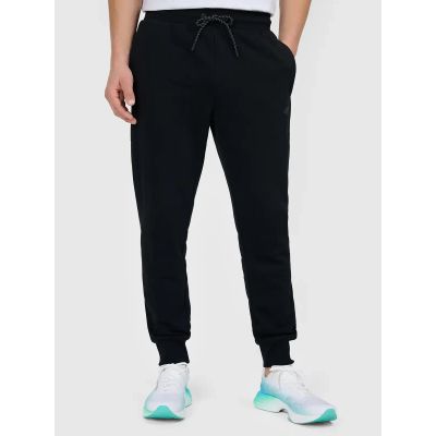 Men's jogger sweatpants 4F 4FWMM00TTROM1860-20S