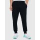 Men's jogger sweatpants 4F 4FWMM00TTROM1860-20S
