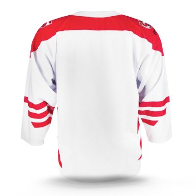 2. Replica of the Polish Junior National Team jersey
